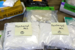   特朗普将芬太尼列为大规模杀伤性武器 缩略图