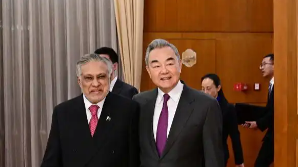 王毅：不认为哪个国家能充当国际警察