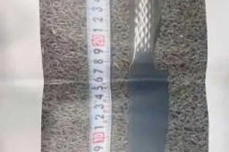   强闯中使馆日本人携带的刀具曝光 缩略图