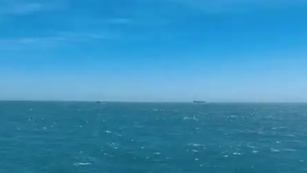  美军称袭击一艘“贩毒船”致2人死亡