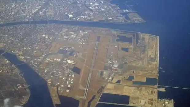 驻日美军基地毒蜘蛛“疑似外溢”
