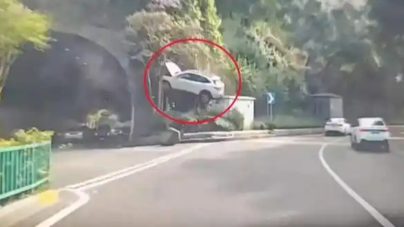  SUV腾空后挂树上 起飞瞬间被拍下