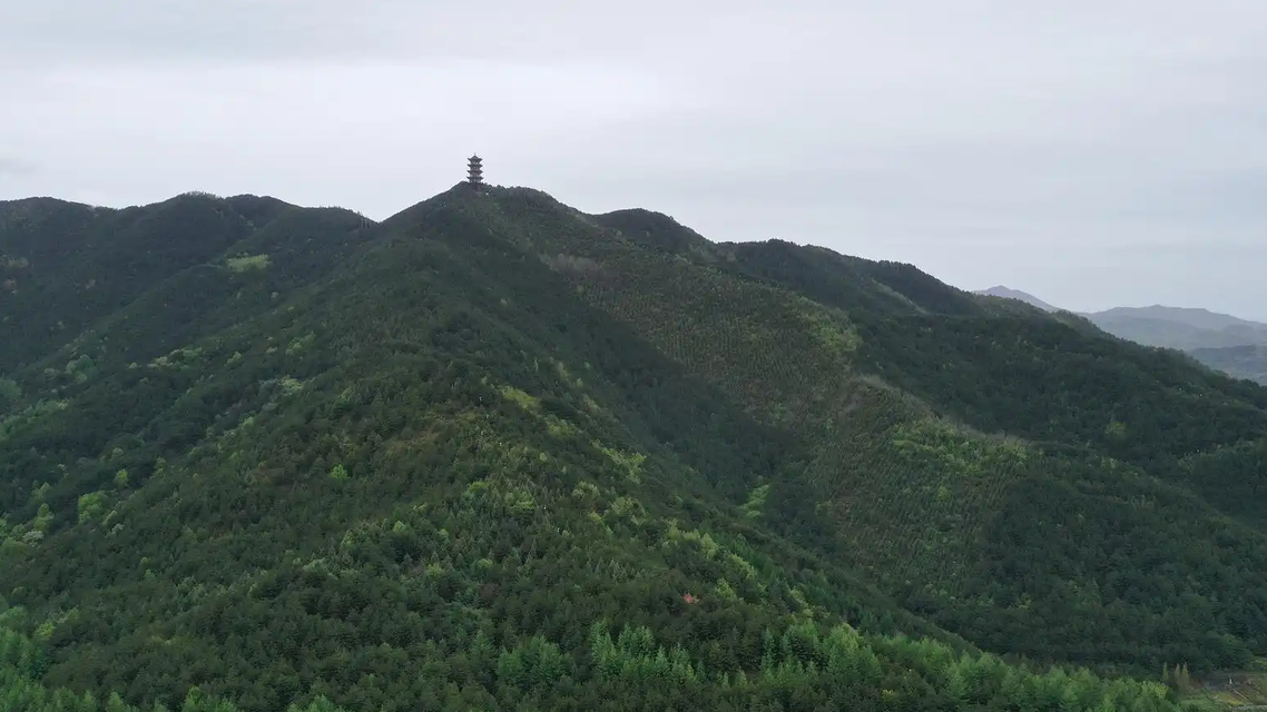 多人违规闯秦岭被处罚：有人被罚万元