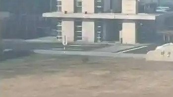 吉林一头野猪在校园狂奔被警方击毙