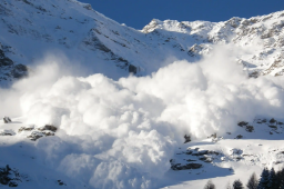 美国加州北部发生雪崩 致10人失踪