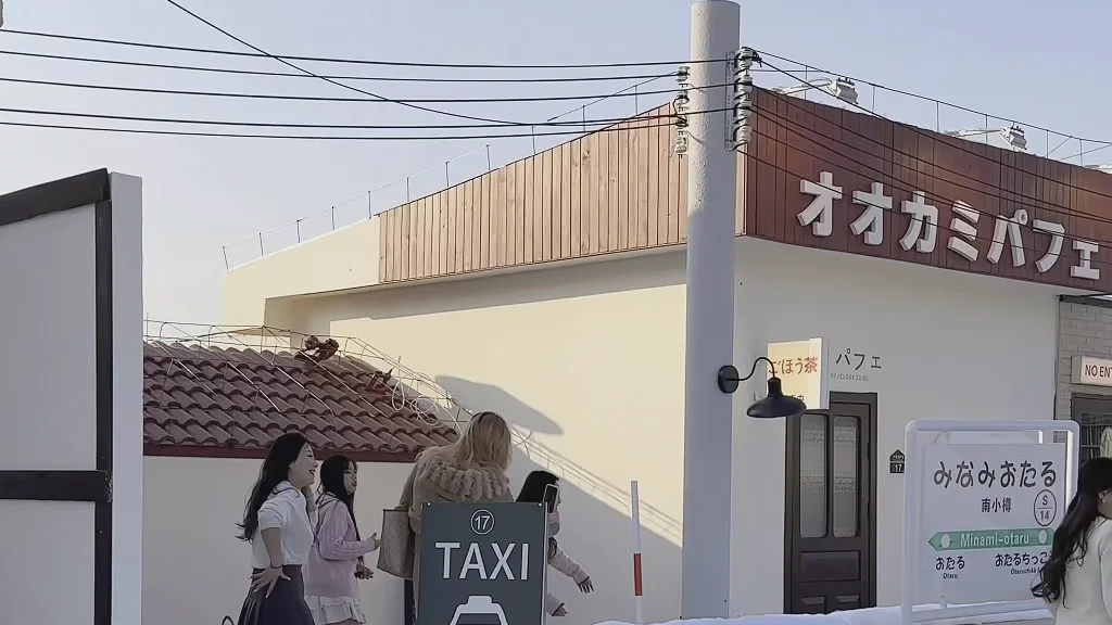  百万粉丝女网红上厕所被偷拍