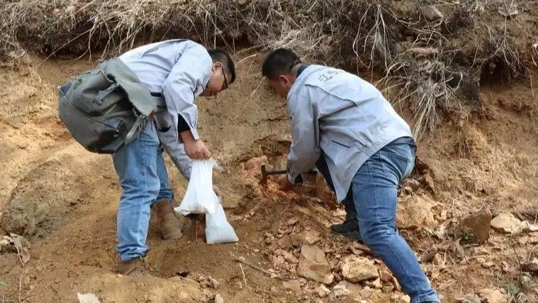 男童疑发现金矿所在地加强保密管理