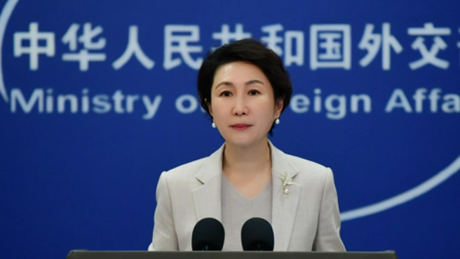 外交部回应德国政府涉台海言论