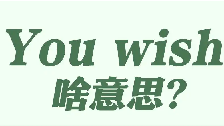  国防部说的“You wish”是什么意思