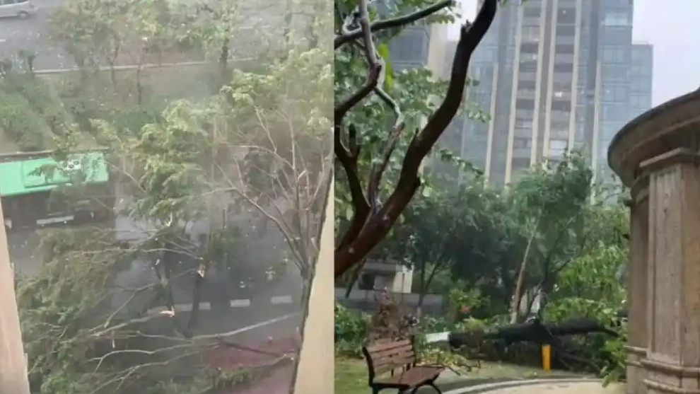 广东局地雷雨大风 部分列车晚点停运