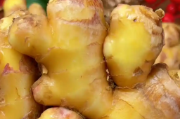   女子把生姜当水果1天炫1盆 很少感冒 缩略图