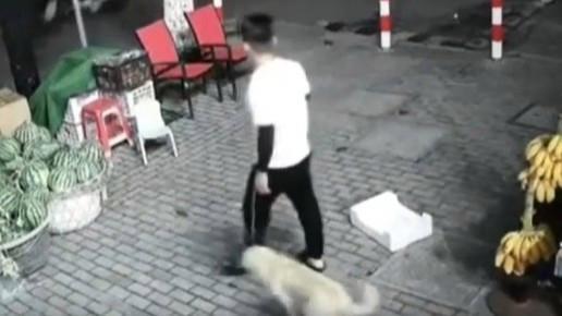  狗狗中毒针进店向主人求救仍死亡
