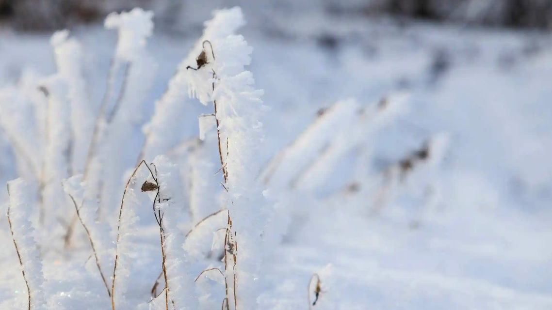 小雪后新一股冷空气将到来