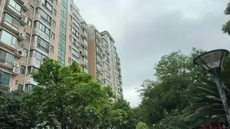  打过12345不得参选？业委会换届引争议