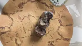 泸溪河客服回应桃酥吃出牙冠