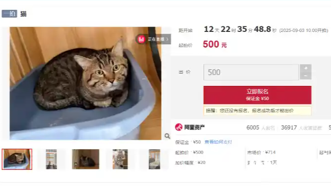 >Bsports必一网页版登录(中国)下载网站安卓版