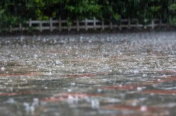   黑龙江暴雨红色预警龙卷预警 缩略图