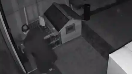 小区保安一棍打死业主3个月大幼犬