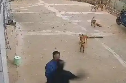   警方通报老人坐门口吃橘子被打倒 缩略图