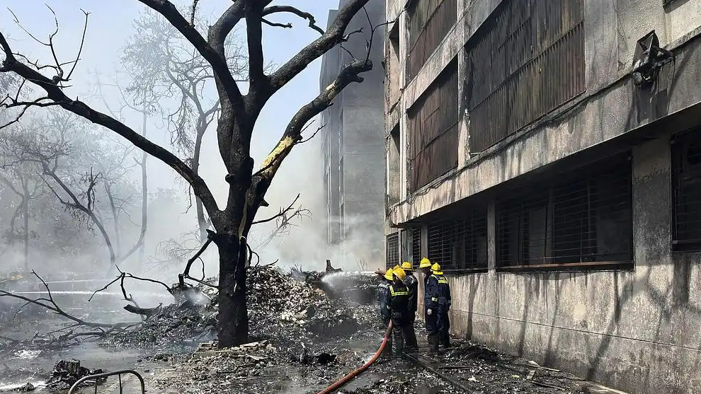 我驻印度使馆：坠毁客机无中国籍乘客