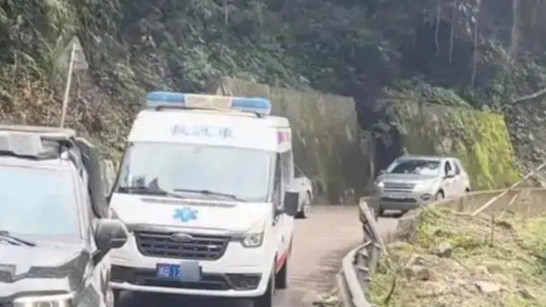  官方通报救护车拉警报开道旅游