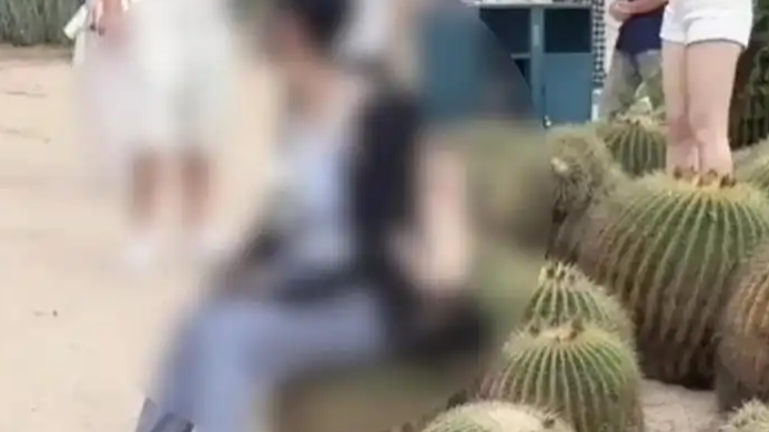 游客淡定坐仙人球  景区：无法干涉