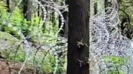  泰山景区建135公里刀片刺绳隔离网