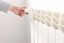   有这4种表现 可能得了“暖气病” 缩略图