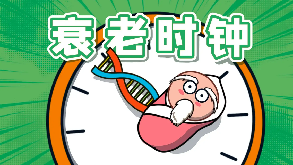 你的身体里藏着一个“衰老时钟”
