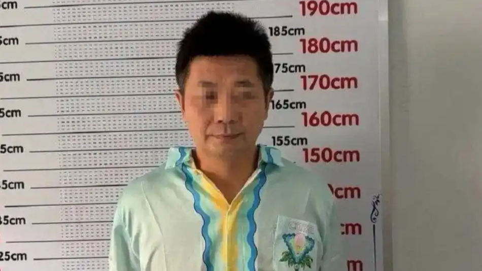  柬埔寨安徽商会会长刘忍被押解回国