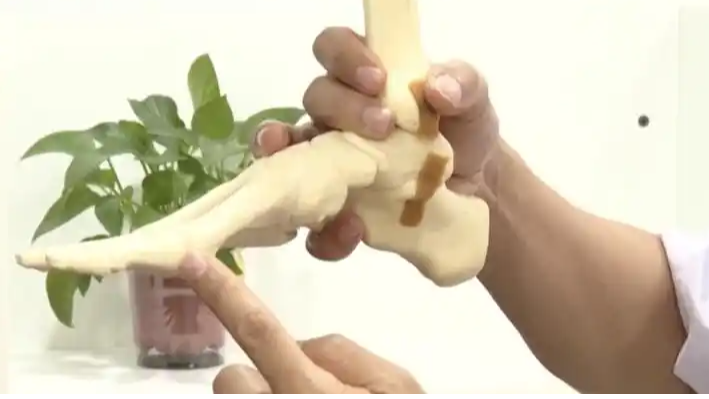 医生提醒洞洞鞋不要长期穿