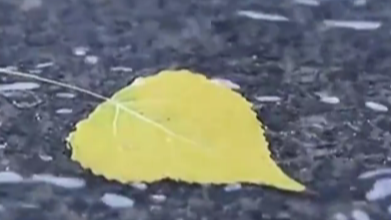 马年第一个节气竟和“爆米花”有关