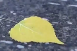 马年第一个节气竟和“爆米花”有关