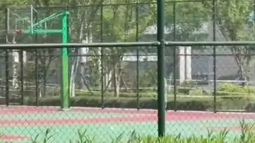  大学生掉化粪池遇难 同学发声