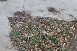   男子公园骑车遭铁丝勒脖身亡 缩略图