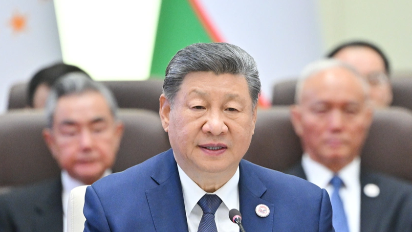 携手推进平等有序的世界多极化