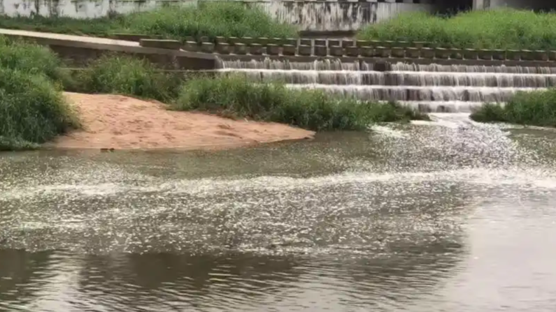 茅洲河出现大面积“泡泡”  官方回应