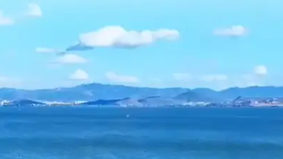 嘱托为笔 绘天地国色