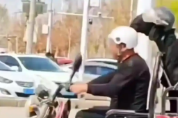   羊也戴上安全帽 给交警整不会了 缩略图