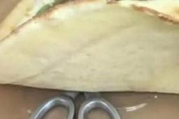   女子山姆40元买披萨吃出108元剪刀 缩略图
