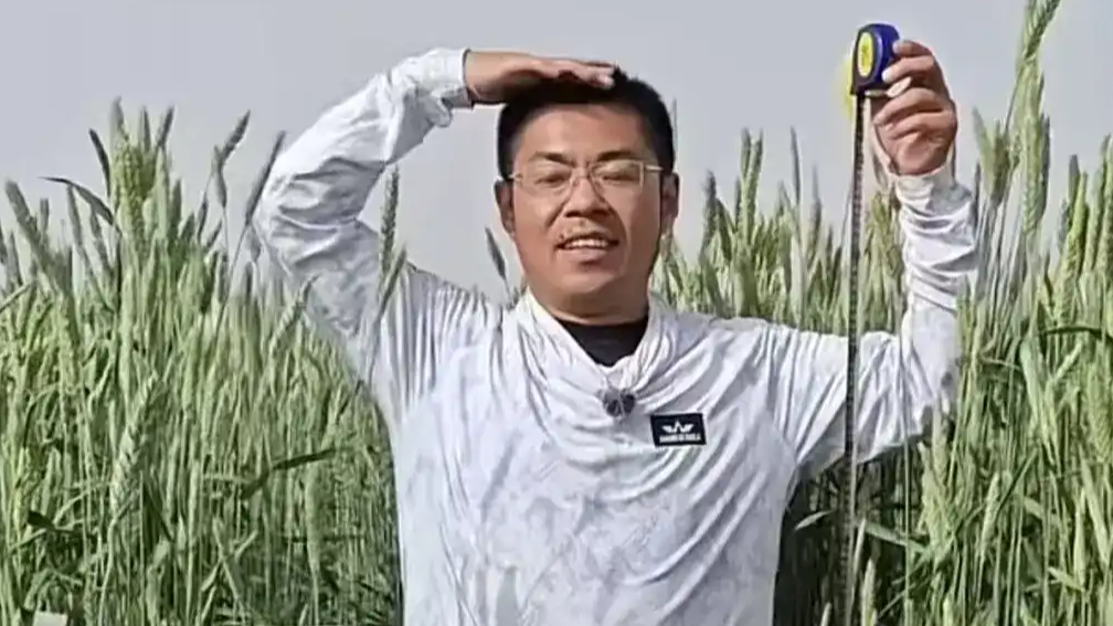  让袁隆平挠头的博士带来好消息