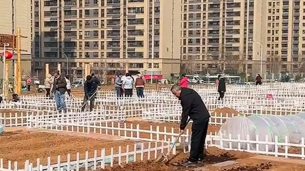 济南共享菜园走红：出租率超90%