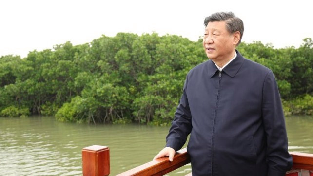 绿色承诺一以贯之