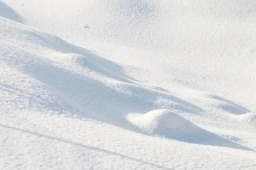   注意防范！暴雪大雾大风三预警齐发 缩略图