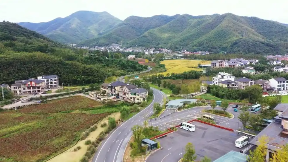 从乡村蝶变看浙江的共富之路