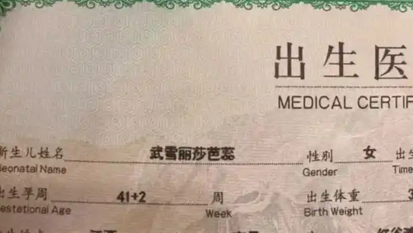 >好博体育app在线下载(官方)app下载安装ios/android通用版/手机app2025最新版