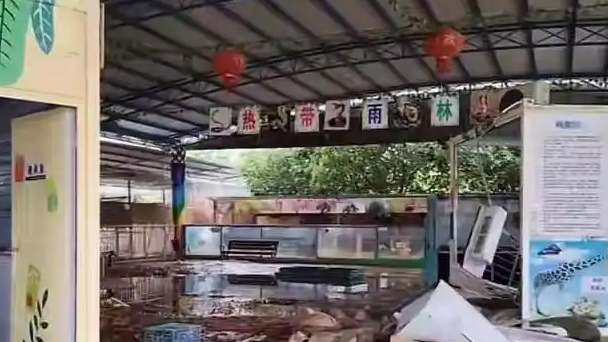 洪水中锁死狮子该不该