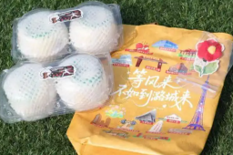 人民大学开学典礼又发苹果了