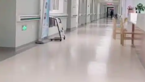 医生解读被蜈蚣咬了该不该打狂犬疫苗