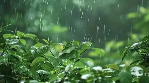 多地南方朋友都7天没见过太阳了